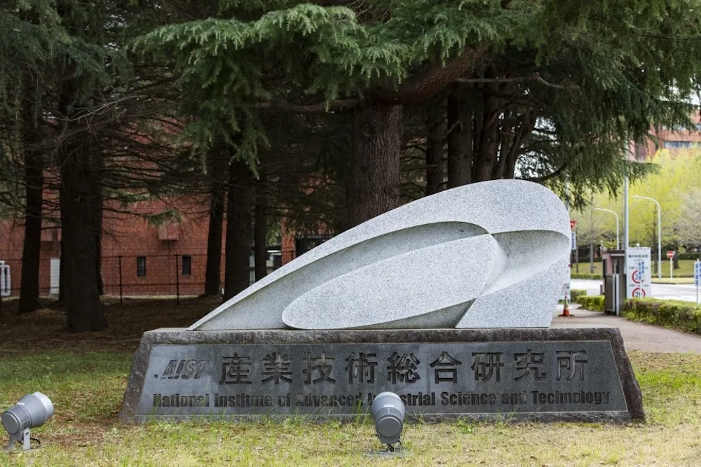 Venue — Golden Ginkgo Avenue (placeholder)