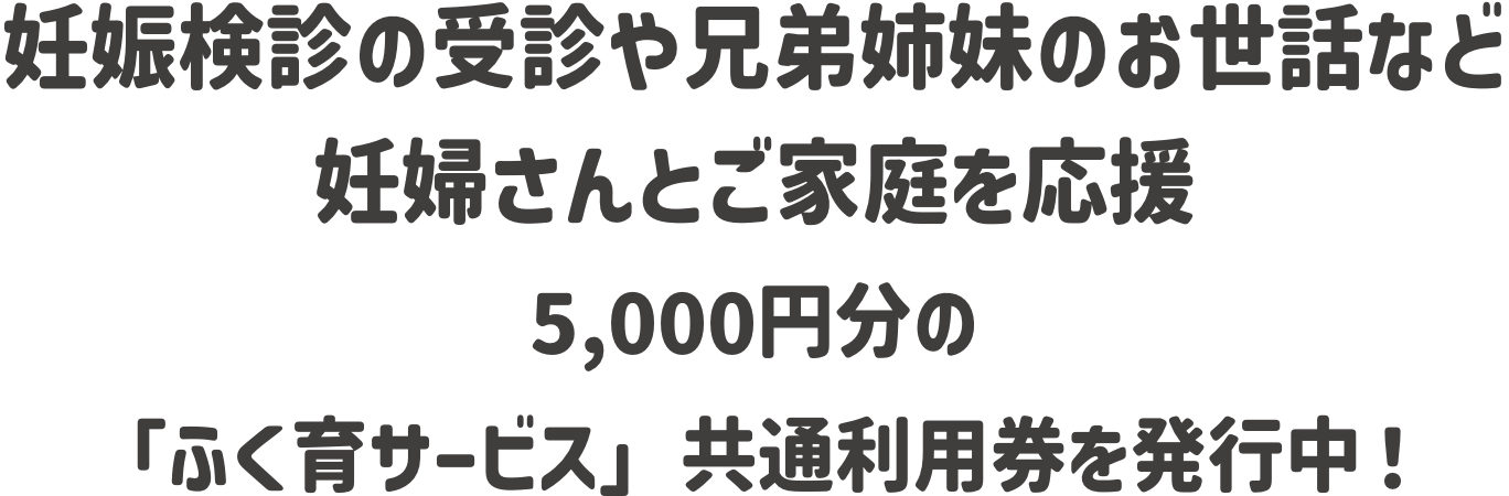 妊娠検診の受診や兄弟姉妹のお世話など妊婦さんとご家庭を応援