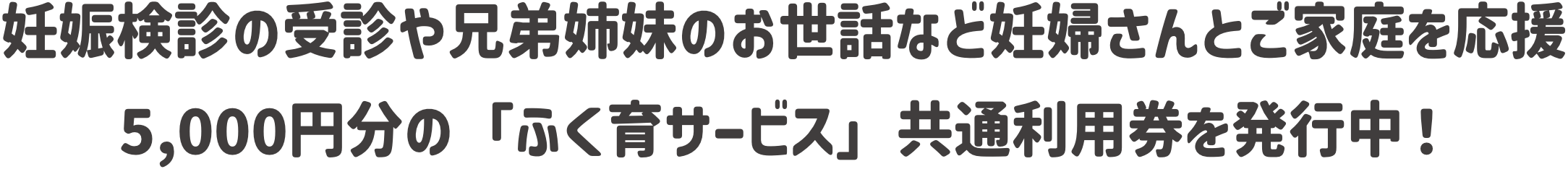妊娠検診の受診や兄弟姉妹のお世話など妊婦さんとご家庭を応援