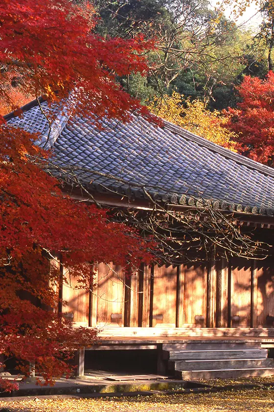 富貴寺