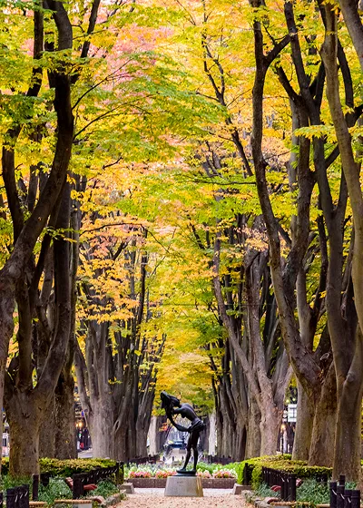 仙台トク旅キャンペーン