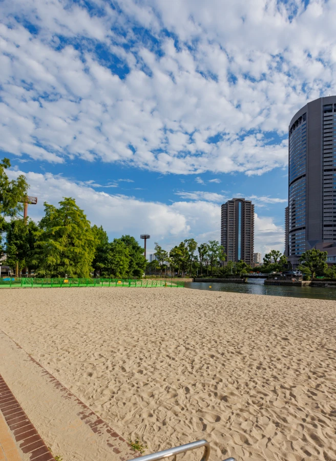写真6